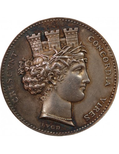 PIQUAGE D'ONCE DE LYON - MEDAILLE ARGENT