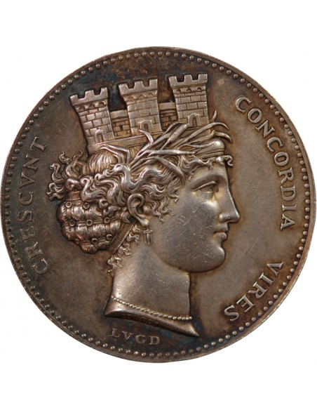 PIQUAGE D'ONCE DE LYON - MEDAILLE ARGENT