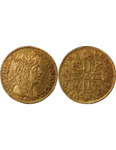 LOUIS XIII - LOUIS D'OR A LA MÈCHE LONGUE 1641 A PARIS 2