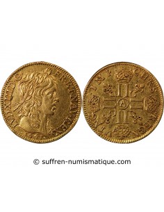 LOUIS XIII - LOUIS D'OR A LA MÈCHE LONGUE 1641 A PARIS