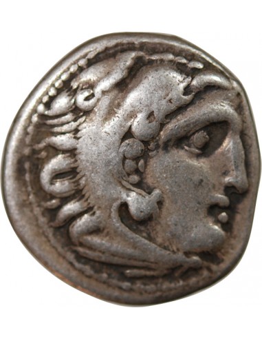 ALEXANDRE III LE GRAND ET SUCCESSEURS - DRACHME ARGENT 336 / 323 AV JC COLOPHON