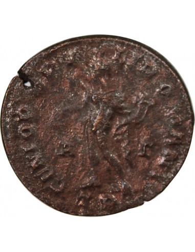 MAXIMIEN HERCULE - FOLLIS 303 / 305 TREVES