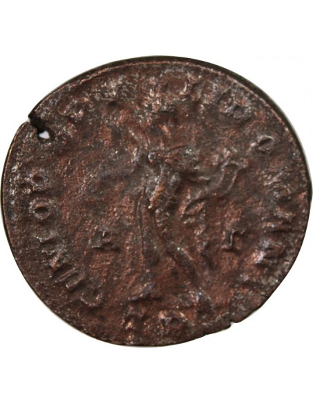 MAXIMIEN HERCULE - FOLLIS 303 / 305 TREVES