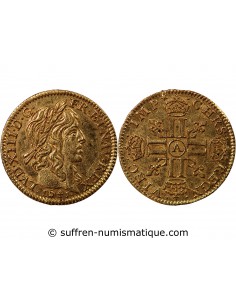 LOUIS XIII - 1/2 LOUIS D'OR A LA MECHE LONGUE 1641 A PARIS