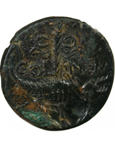 NEMAUSUS, NIMES, AUGUSTE ET AGRIPPA - DUPONDIUS 29 AV JC / 10 CONTREMARQUE DD