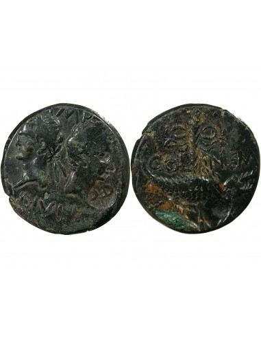 NEMAUSUS, NIMES, AUGUSTE ET AGRIPPA - DUPONDIUS 29 AV JC / 10 CONTREMARQUE DD