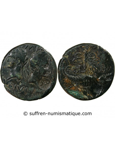 NEMAUSUS, NIMES, AUGUSTE ET AGRIPPA - DUPONDIUS 29 AV JC / 10 CONTREMARQUE DD