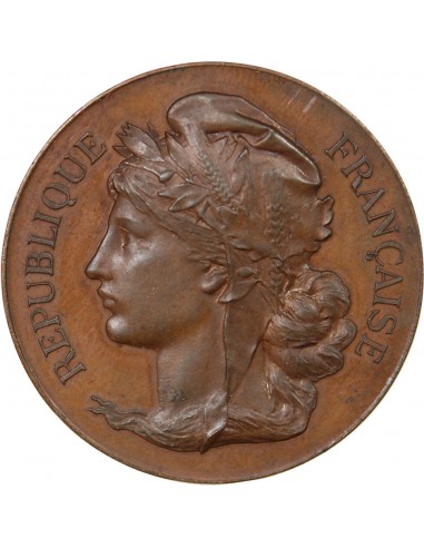 COMICE AGRICOLE DE LOUVIERS - MÉDAILLE