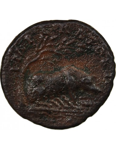 ANTONIN LE PIEUX - AS 143 / 144 ROME - TRUIE AU REVERS R3