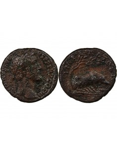 ANTONIN LE PIEUX - AS 143 / 144 ROME - TRUIE AU REVERS R3 2