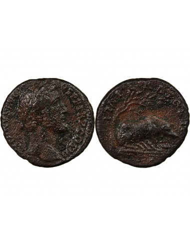 ANTONIN LE PIEUX - AS 143 / 144 ROME - TRUIE AU REVERS R3