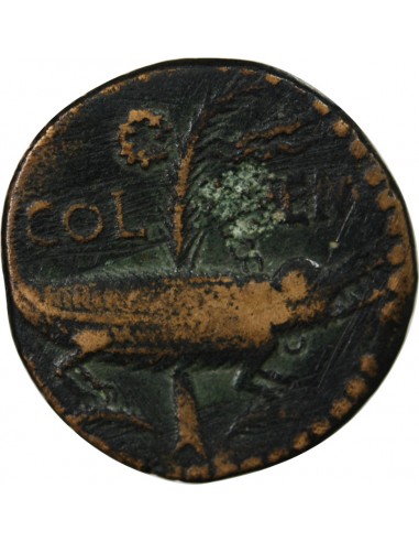 NEMAUSUS, NIMES, AUGUSTE ET AGRIPPA - DUPONDIUS 29 AV JC / 10