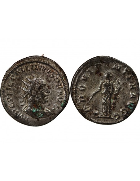 GALLIEN - ANTONINIEN 256 - 257 ROME