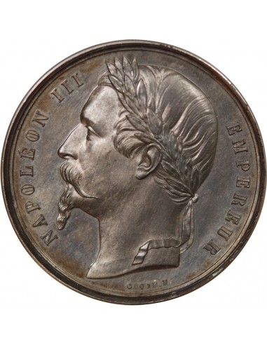 NAPOLEON III - MEDAILLE ETAIN 1860, Annexion de la Savoie et du compté de Nice