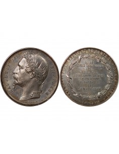 NAPOLEON III - MEDAILLE ETAIN 1860, Annexion de la Savoie et du compté de Nice 2
