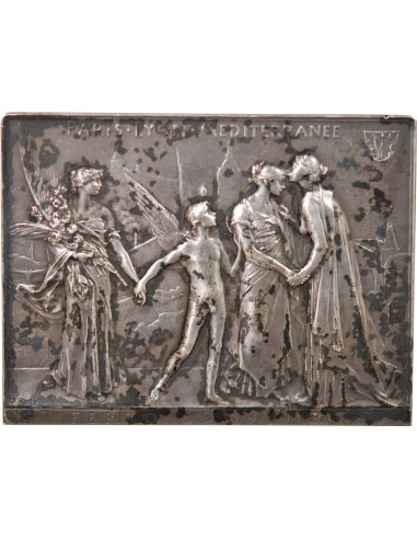 ASSEMBLEE GENERALE DES ACTIONNAIRES - COMPAGNIE DES CHEMINS DE FER PARIS LYON MEDITERRANEE  - PLAQUE ARGENT