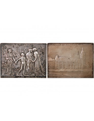 ASSEMBLEE GENERALE DES ACTIONNAIRES - COMPAGNIE DES CHEMINS DE FER PARIS LYON MEDITERRANEE  - PLAQUE ARGENT