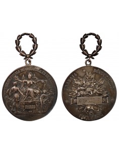 ALLIANCE SYNDICALE DU COMMERCE ET DE L'INDUSTRIE DE PARIS - MEDAILLE ARGENT, VERNON - 1911, "GROSSE F" 2