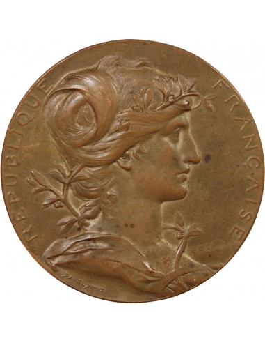 EXPOSITION UNIVERSELLE PARIS 1889 - MEDAILLE BRONZE