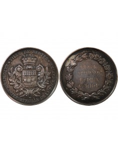 VILLE DE NANTES, EXPOSITION INTERNATIONALE DE LA RACE CANINE - MÉDAILLE ARGENT 1885 - 1er PRIX BLACK RETRIEVER ATTRIBUE A E.BIRE 2