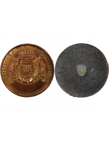 EXPOSITION NATIONALE DE NANTES 1861 - MEDAILLE, ESSAI UNIFACE ÉTAIN CUIVRÉ DORÉ, POINCON MAIN (1860)