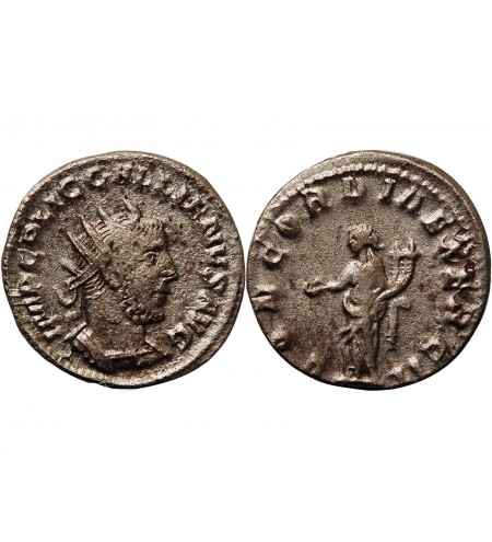 GALLIEN - ANTONINIEN 254