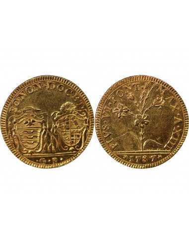 Vatican Pape Pie VI 2 doppie Or 1787 B Bologne