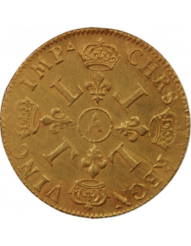 Louis XIV 2 louis d'or Or 1693 A Paris