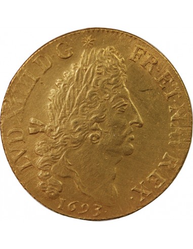 Louis XIV 2 louis d'or Or 1693 A Paris