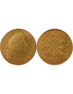 Louis XIV 2 louis d'or Or 1693 A Paris 2