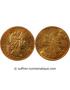 Louis XIV 1 louis d'or Or 1644 A Paris