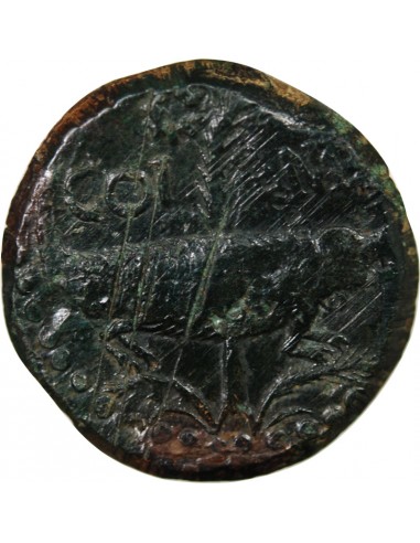 Rome - Provinces Agrippa Dupondius Bronze 29 AV JC - 10 Nîmes