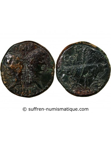 Rome - Provinces Agrippa 1 dupondius Bronze 29 AV JC - 10 Nîmes