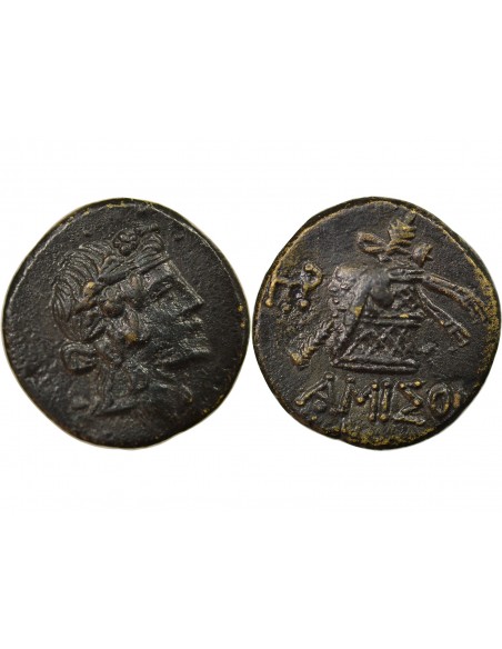 Royaume du Pont Tetrachalque Bronze 85-65 AV JC Amisos