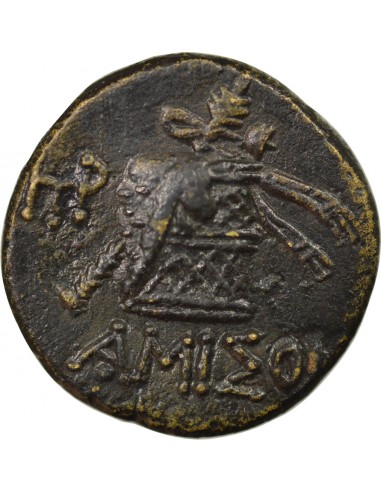 Royaume du Pont 1 tetrachalque Bronze 85-65 AV JC Amisos