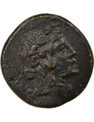 Royaume du Pont Tetrachalque Bronze 85-65 AV JC Amisos