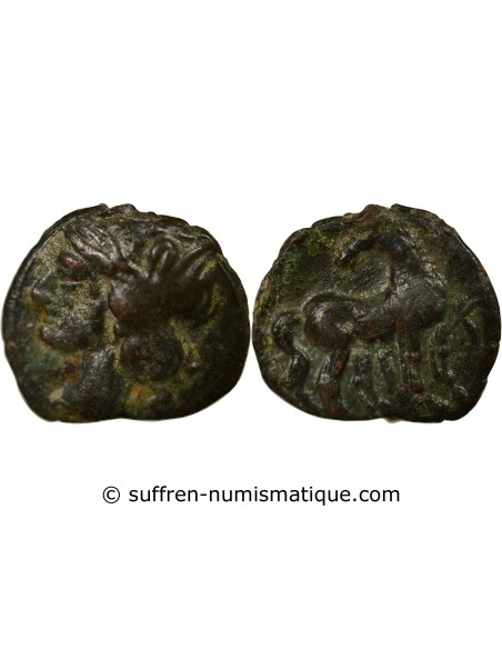 Grèce (Zeugitane) 1 unite Bronze 215-201 Av JC Carthage