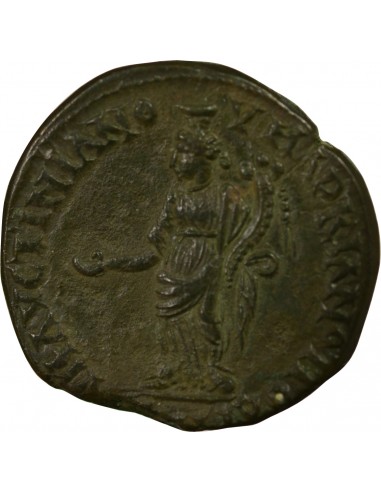 Rome - Provinces Septime Sévère 1 diassaria Cuivre 193-211 Marcianopolis