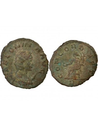 Rome Empire Salonine 1 antoninien Billon 263-264 R Rome