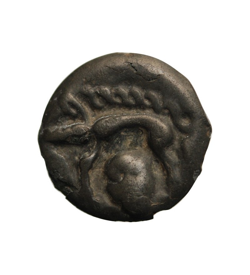 HAUTE & MOYENNE SEINE - POTIN AU SANGLIER & A LA TETE COUPEE