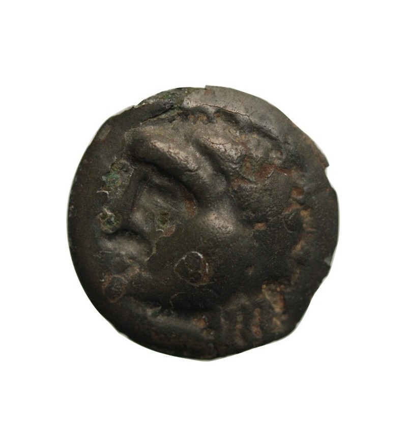 HAUTE & MOYENNE SEINE - POTIN AU SANGLIER & A LA TETE COUPEE