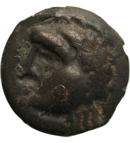 HAUTE & MOYENNE SEINE - POTIN AU SANGLIER & A LA TETE COUPEE