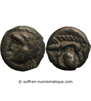 HAUTE & MOYENNE SEINE - POTIN AU SANGLIER & A LA TETE COUPEE