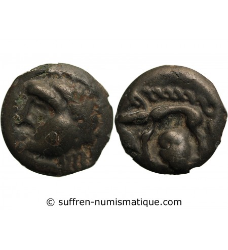 HAUTE & MOYENNE SEINE - POTIN AU SANGLIER & A LA TETE COUPEE