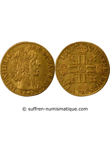 Louis XIII 1 louis d'or Or 1641 A Paris