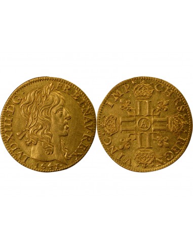 Louis XIII 1 louis d'or Or 1641 A Paris