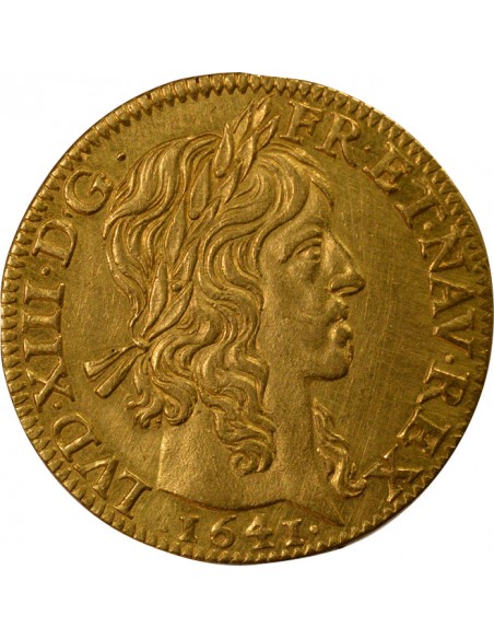 Louis XIII 1 louis d'or Or 1641 A Paris