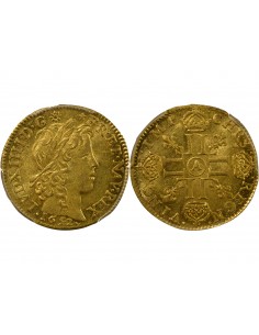 Louis XIV 1 louis d'or Or 1652 A Paris 2