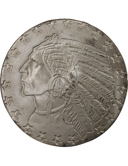 USA Tête Indien 1 once Argent USA