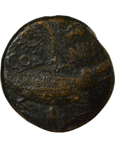 Rome - Provinces Agrippa Auguste tête laurée Dupondius Bronze 15 à 13 Av JC Nîmes Rome - Provinces